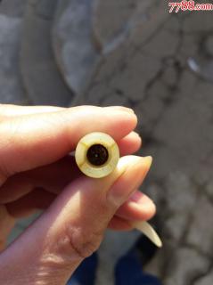 商品_20922