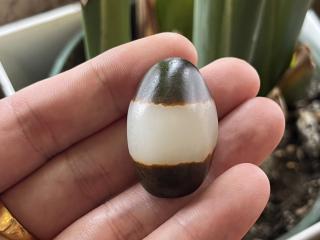 和田玉黑皮籽料天地皮鸽子蛋